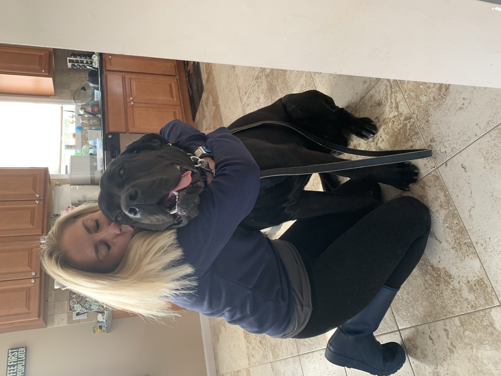 Small dog performing a down command showing at-home obedience training results